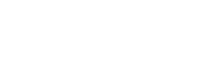 Business Insurance Services Inc. Logo
